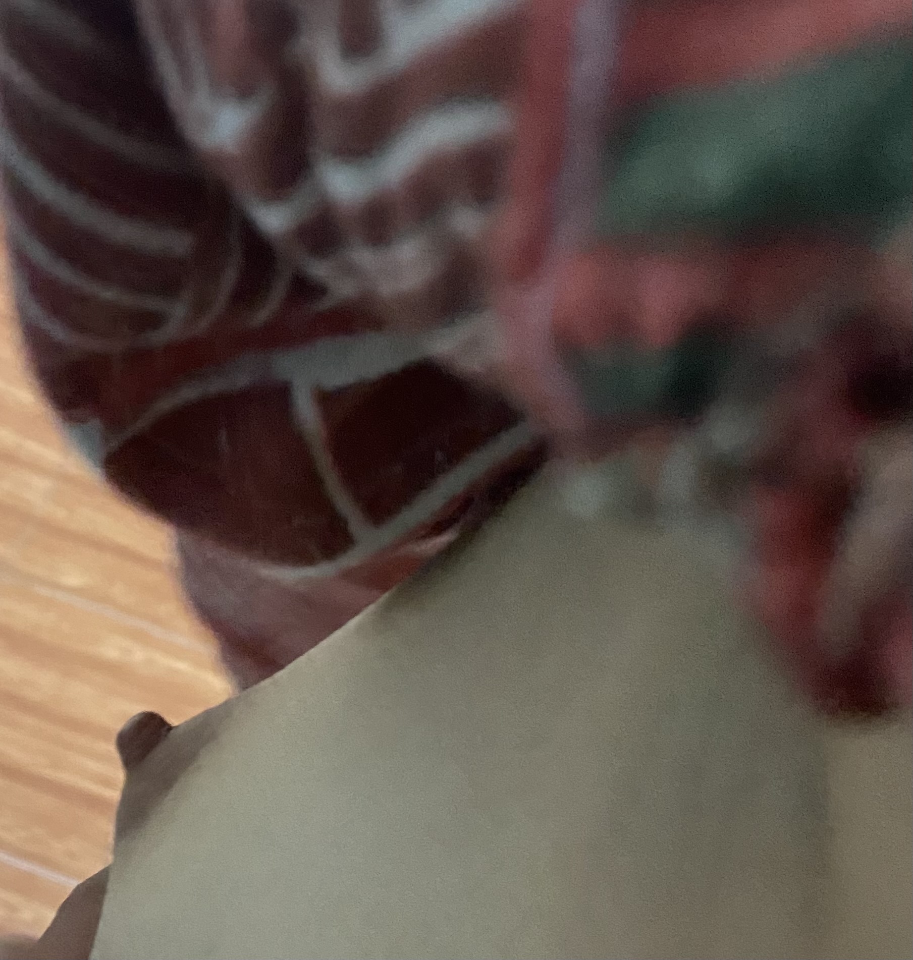 IMG_5378.jpeg