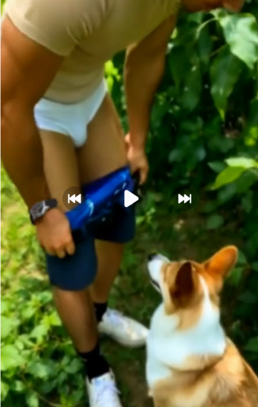 1793071625836.png