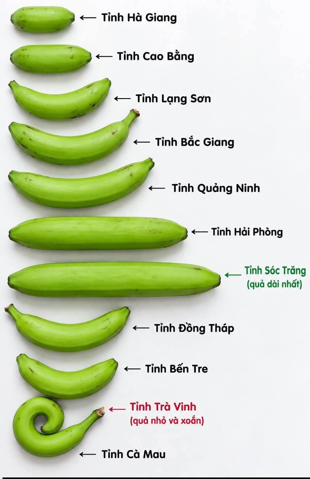 1793093393884.png